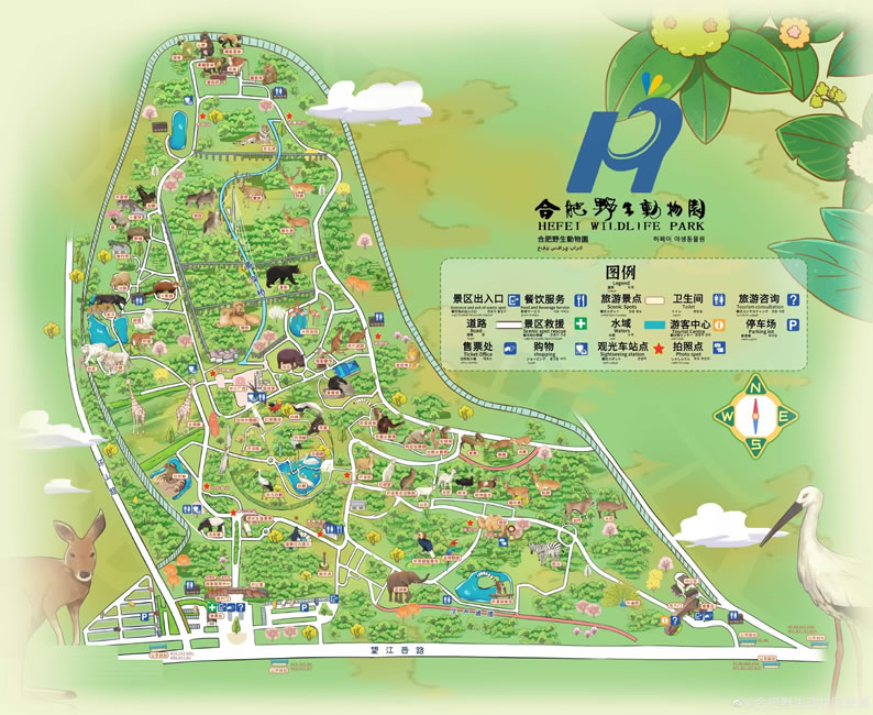 合肥野生動(dòng)物園導(dǎo)游圖
