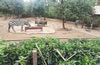 合肥野生動(dòng)物園