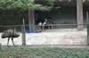 合肥野生動(dòng)物園