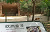 合肥野生動(dòng)物園