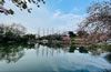 莫愁湖公園