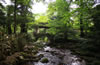 天目山